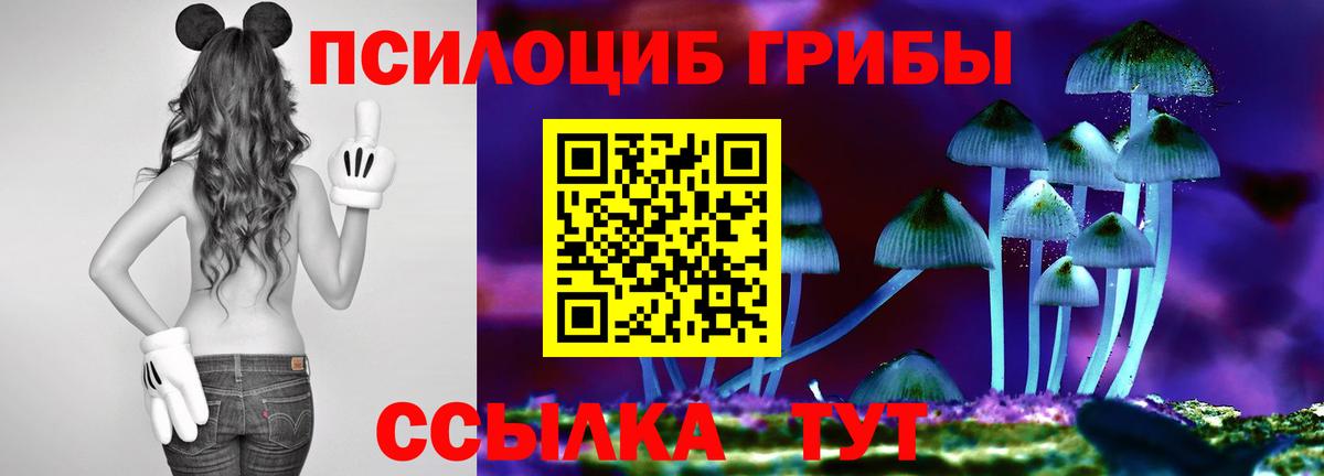 Псилоцибиновые грибы Psilocybe  Галлюциногенные грибы мухоморы  Шали  Вход с VPN 
