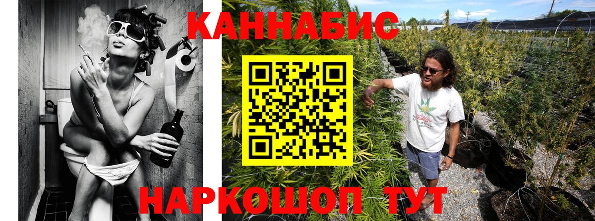 Шишки марихуана конопля Шали